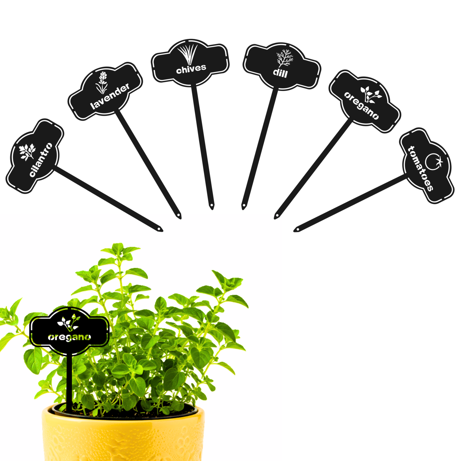 Culinary Herb Markers Set